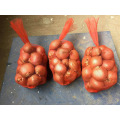 exportadores de cebollas frescas en China